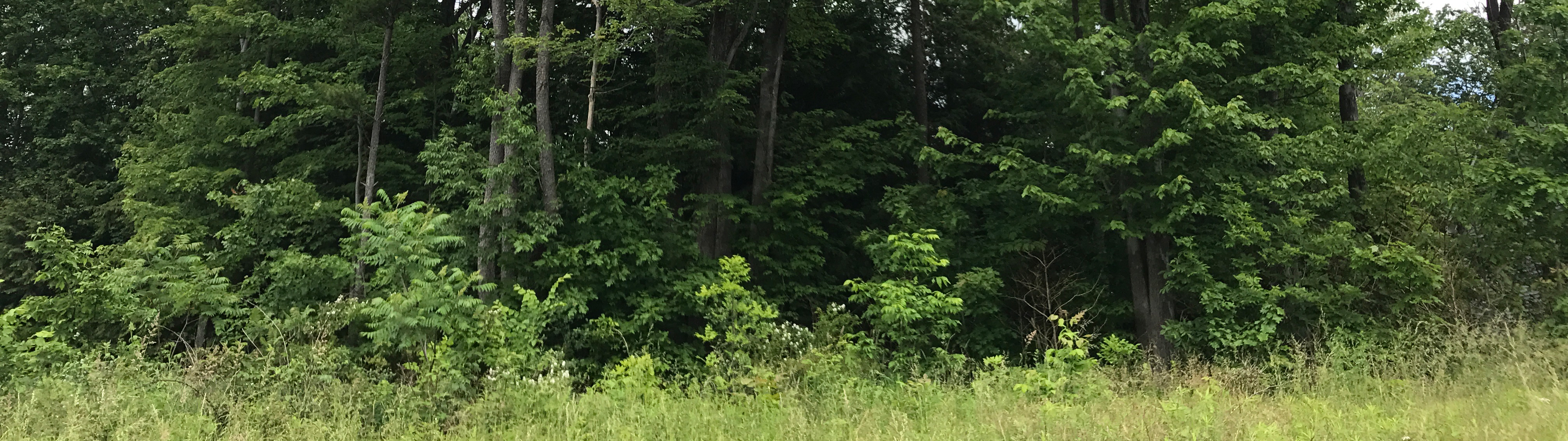 18th Century Village